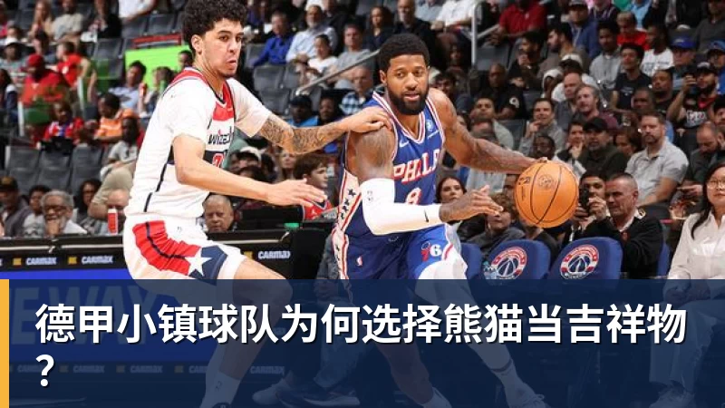 德甲小镇球队为何选择熊猫当吉祥物? - 尊龙凯时 · 权威体育数据平台
